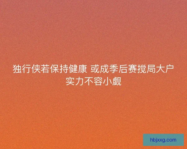 独行侠若保持健康 或成季后赛搅局大户实力不容小觑