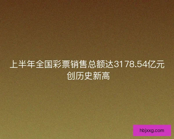 上半年全国彩票销售总额达3178.54亿元 创历史新高